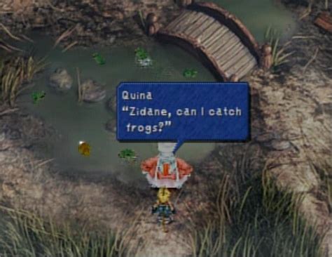 frog drop ff9|Final Fantasy IX Side Quests: Catching Frogs .